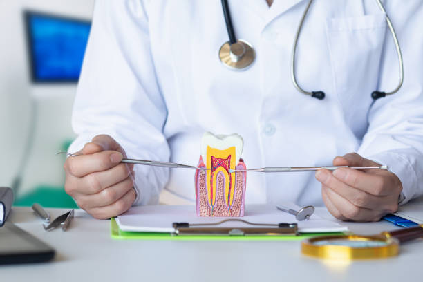 Best Emergency Dental Care for Broken or Chipped Teeth in Monmouth, OR